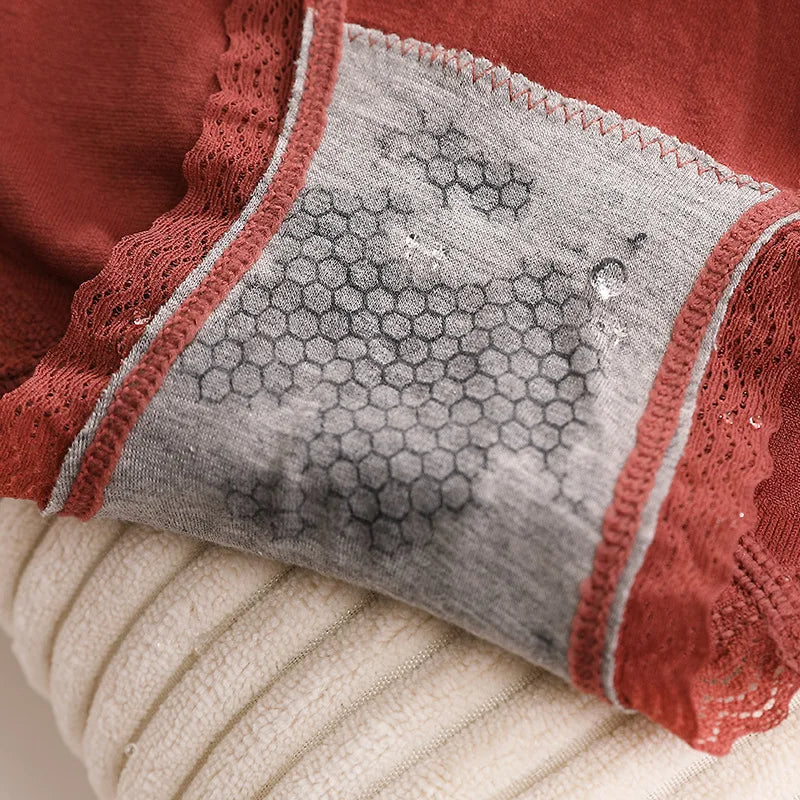 Elegant Embrace High-Waist Lace Panty Pack - Assorted Colors