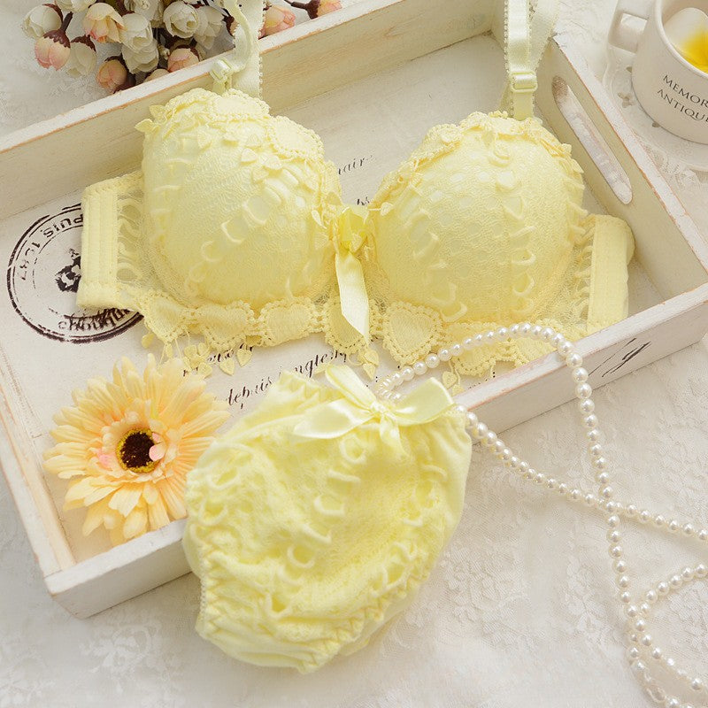 Sexy Lace Pushup Bra & Panty Set
