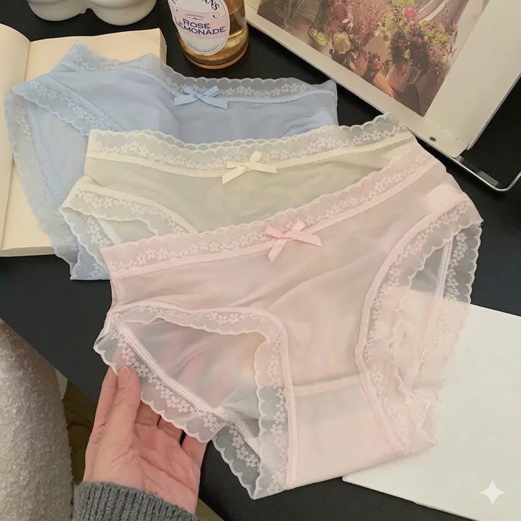 Suhanafit Whispering Lace Sheer Mesh Briefs