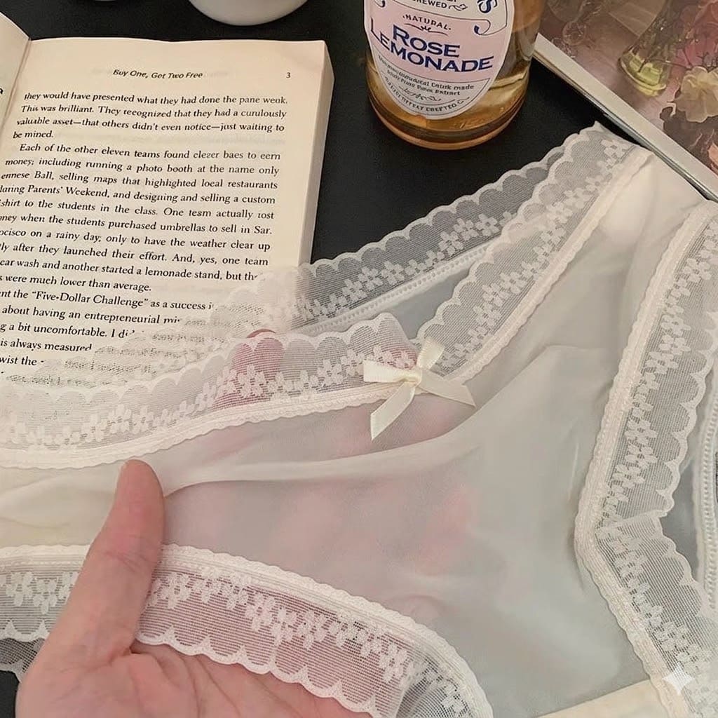 Suhanafit Whispering Lace Sheer Mesh Briefs